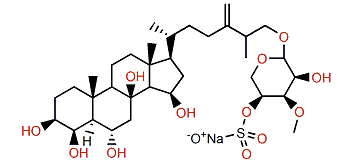 Antarcticoside J